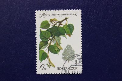 Лот: 6855936. Фото: 1. Почтовая марка №4074 в коллекцию. Марки