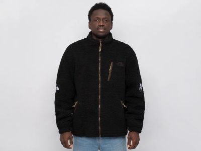 Лот: 24975797. Фото: 1. Куртка The North Face. Верхняя одежда