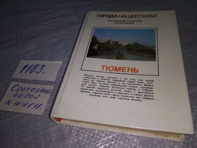 Лот: 19159923. Фото: 1. Копылов Д.И., Князев В.Ю., Ретунский... Путешествия, туризм