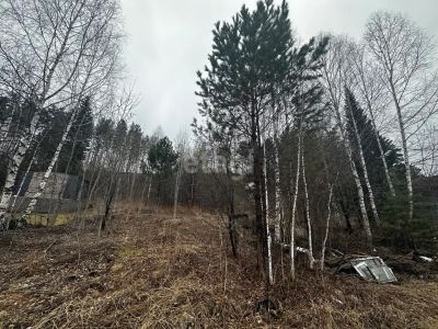 Лот: 25291216. Фото: 1. участок , СНТ Чернобыль СНТ Чернобыль... Земельные участки