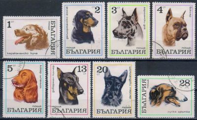 Лот: 20832911. Фото: 1. 1970. Болгария. Собаки. Полная... Марки