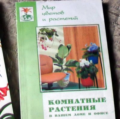 Лот: 7578057. Фото: 1. Книга "Комнатные растения в вашем... Сад, огород, цветы