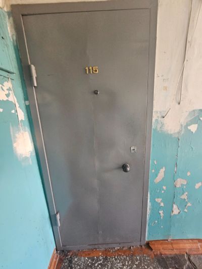 Лот: 23912024. Фото: 1. Дверь входная металлическая. Двери входные