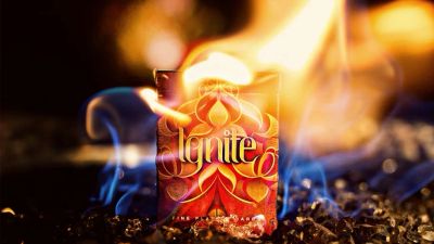 Лот: 11292043. Фото: 1. Игральные карты Ignite. Настольные игры, карты