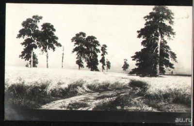 Лот: 18269634. Фото: 1. дореволюционная художественная... Открытки, конверты