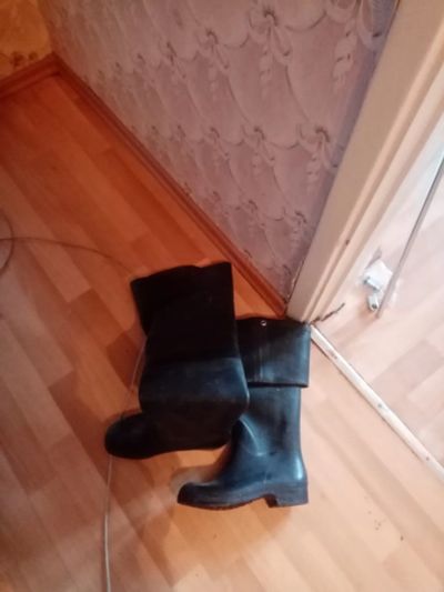 Лот: 21021794. Фото: 1. Сапоги. Сапоги, полусапоги