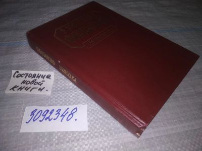 Лот: 24878447. Фото: 1. (3092348)Русские философы. Конец... Философия
