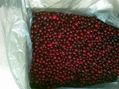 Лот: 5953886. Фото: 1. Брусника северная спелая свежий... Ягоды, орехи