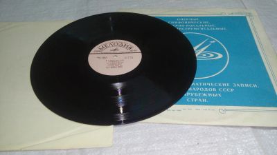 Лот: 10841622. Фото: 1. LP, Винил, пластинка, грампластинка... Аудиозаписи