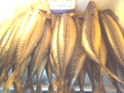 Лот: 8290938. Фото: 1. Скумбрия х/к домашняя на ольховой... Икра, рыба, морепродукты