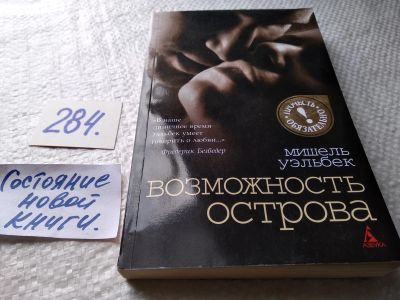 Лот: 18453095. Фото: 1. Уэльбек Мишель. Возможность острова... Художественная