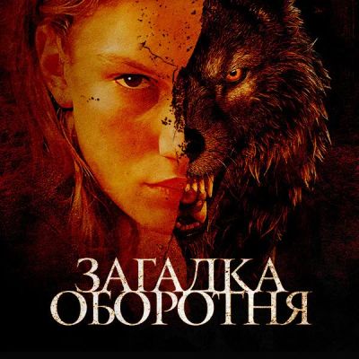 Лот: 24290908. Фото: 1. Загадка оборотня. Видеозаписи, фильмы