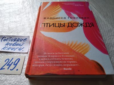 Лот: 18150121. Фото: 1. ок (17..015) Птицы дождя,Гоэнаван... Художественная