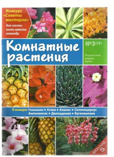 Лот: 9531745. Фото: 1. №7 Журнал Комнатные растения. Быт и семья