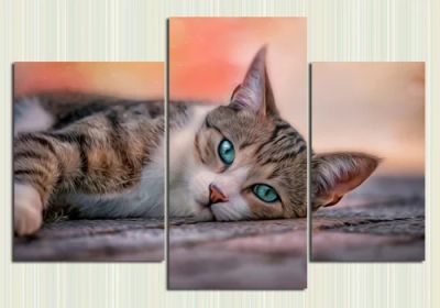 Лот: 9434436. Фото: 1. Модульная картина «Бирюзовый взгляд... Холсты чистые
