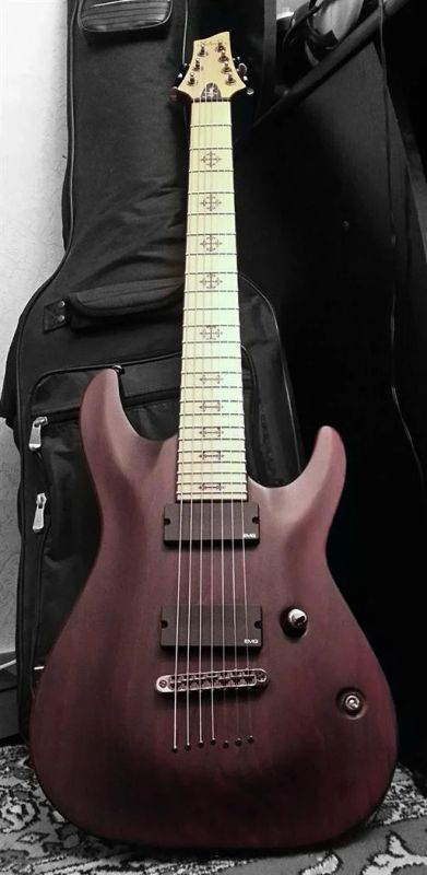 Лот: 3346959. Фото: 1. Schecter Jeff Loomis 7 струн... Гитары