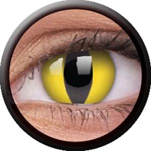Лот: 4614755. Фото: 1. CRAZY. Цветные контактные линзы... Контактные линзы