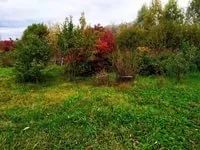 Лот: 15842643. Фото: 1. Дачный участок с домом. Дачи