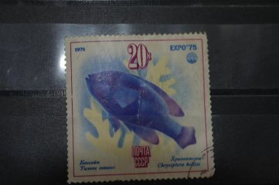 Лот: 3962016. Фото: 1. марка 64 СССР 1975 хризиптера... Марки