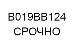 Лот: 13141271. Фото: 1. госномер В019ВВ124. Госномера