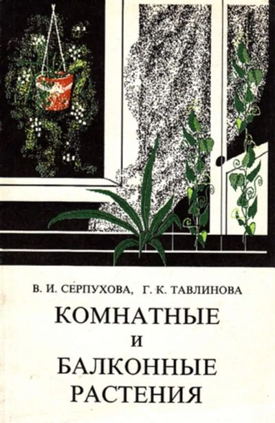 Лот: 23444087. Фото: 1. Комнатные и балконные растения. Сад, огород, цветы