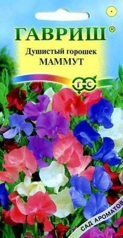 Лот: 11024266. Фото: 1. Душистый горошек Маммут, смесь... Садовые цветы