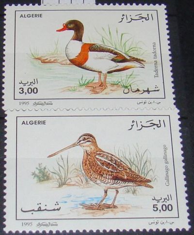 Лот: 10444859. Фото: 1. Алжир 1995 MNH пс. Марки