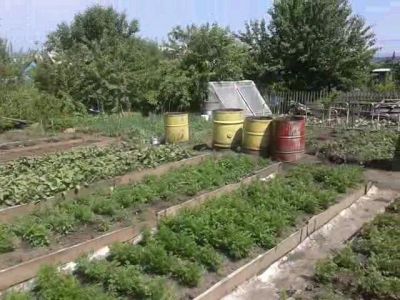 Лот: 5191303. Фото: 1. Продаётся дача, посёлок Берёзовка. Дачи