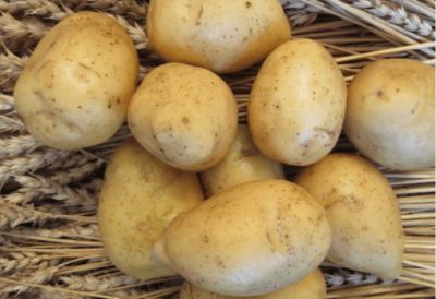 Лот: 22180472. Фото: 1. Семена картофеля Гала. Овощи