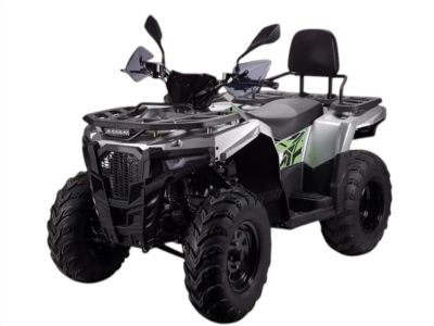 Лот: 25759449. Фото: 1. Квадроцикл AVANTIS ATV 300 Lux. Снегоходы, квадроциклы