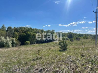 Лот: 25297246. Фото: 1. участок , садовые участки Штаны... Земельные участки