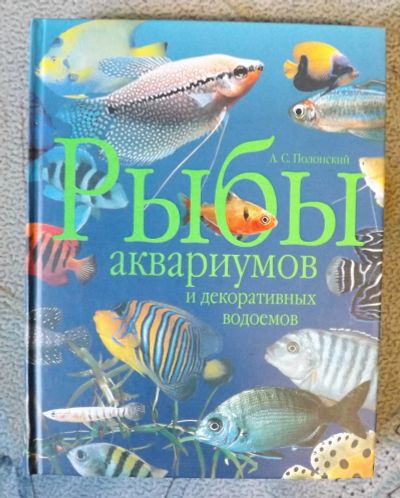 Лот: 16175043. Фото: 1. Книга "Рыбы аквариумов и декоративных... Другое (аквариумистика)