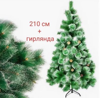 Лот: 16719494. Фото: 1. Сосна 210 см + гирлянда + доставка. Ёлки новогодние