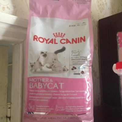 Лот: 7461139. Фото: 1. Корм Royal Canin для котят. Корма
