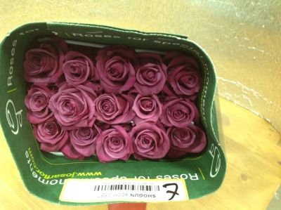 Лот: 7826796. Фото: 1. Роза сорта Shogun 40см 25 шт.Лот... Свежие цветы