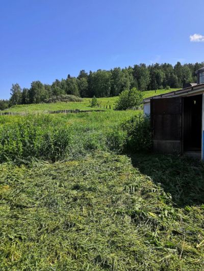 Лот: 25716167. Фото: 1. Продам дом с участком д.Крутая... Земельные участки
