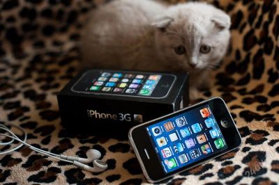 Лот: 1694096. Фото: 1. Apple iphone 3gs 16gb black. Смартфоны