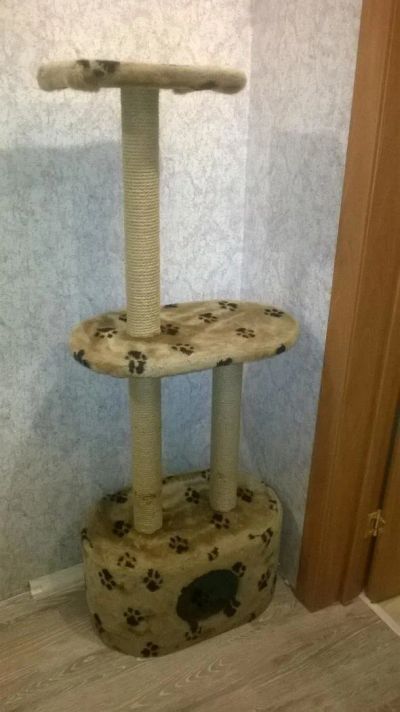 Лот: 9898167. Фото: 1. Домик для кошки. Домики, переноски, клетки, когтеточки