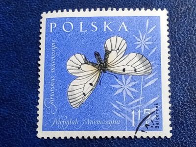 Лот: 25896567. Фото: 1. Марки Флоры и Фауны. лот №- 77055. Марки