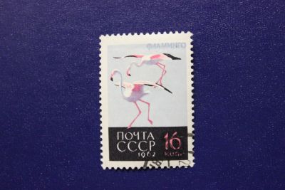 Лот: 7367226. Фото: 1. Почтовая марка №4869 в коллекцию. Марки