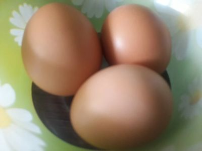 Лот: 17387448. Фото: 1. Яйцо куриное домашнее. Свежайшее... Мясо, птица, яйцо