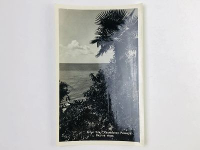 Лот: 23296958. Фото: 1. Сочи. Сан. Кавказская Ривьера... Открытки, конверты