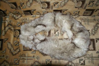 Лот: 3324707. Фото: 1. Горжетка из писца. Накидки, шали, палантины