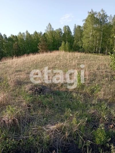 Лот: 25295807. Фото: 1. участок , деревня Мужичкино деревня... Земельные участки