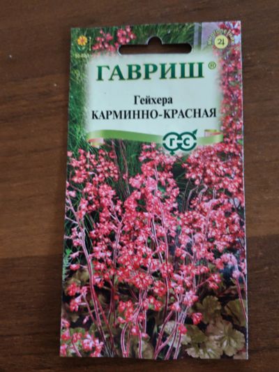 Лот: 25601029. Фото: 1. Гейхера карминно-красная. Садовые цветы