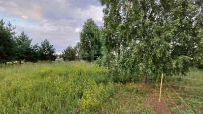 Лот: 25602020. Фото: 1. участок , деревня Киндяково Центральная... Земельные участки