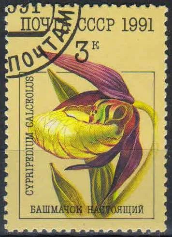 Лот: 25136319. Фото: 1. 1991, май. Орхидеи. н.с. № 6315. Марки
