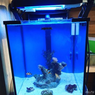 Лот: 9398024. Фото: 1. Aquael nano reef. Аквариумы, террариумы