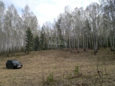 Лот: 15482913. Фото: 1. Продается участок 50 сот. , цена... Земельные участки