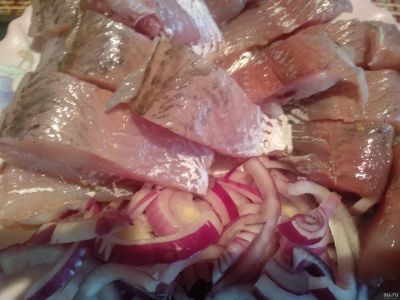 Лот: 15077151. Фото: 1. Пелядь с/с Цена за кг. Икра, рыба, морепродукты